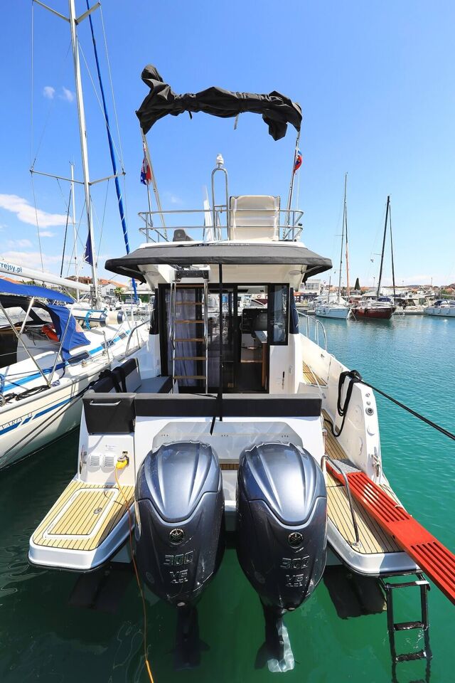 Merry Fisher 1095 Fly Tana