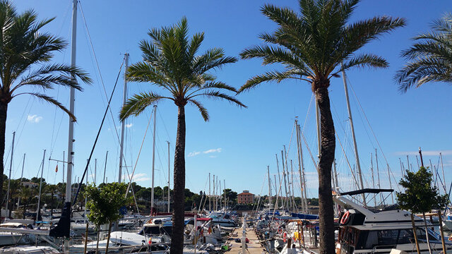 Bavaria Cruiser 37 - 3 cab. Black Pearl