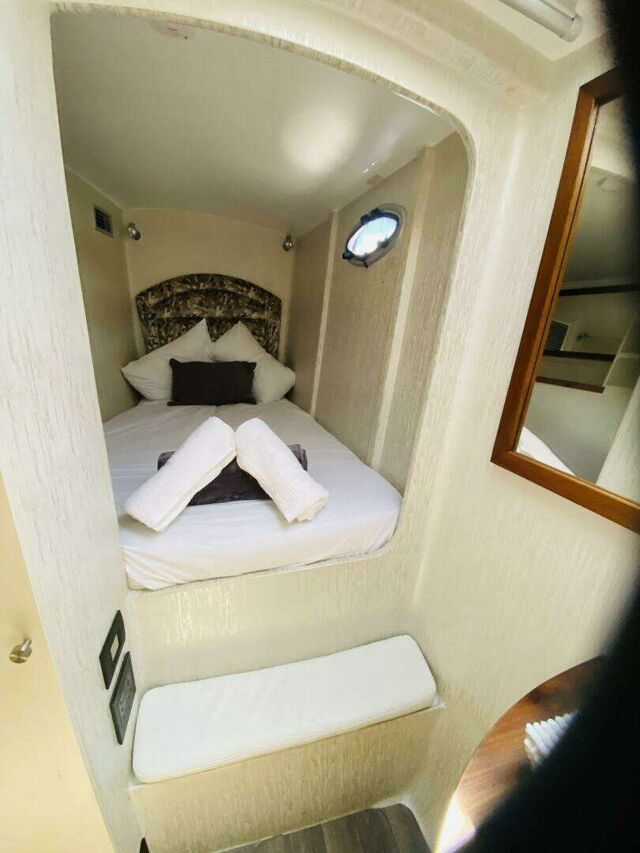 Sea-Tribe DH550 Valerie
