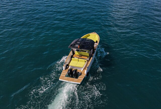 Tesoro T40 Leo